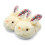 Παντόφλες για γυναίκες, Ζεστές παντόφλες Bunny, Μαλακές παντόφλες Memory Foam, Ελαφριές 1