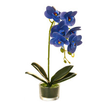 Lasimaljakko keinotekoinen orkideabonsai - Phalaenopsis-kukkaruukkuasetelma kodin pöydän keskipisteiksi ja huoneen sisustukseen
