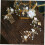 Brauthaarschmuck, doppelseitig, 1 Packung 3