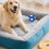 Gummifodboldlegetøj til store mellemstore hunde 1 stk. 6