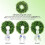 Boxwood Wreath 20 inch for Front Door Spring Summer 5