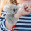 Γκρι βελούδινο βραχιόλι χαστουκιών Koala με μαλακό ρυθμιζόμενο ζωάκι για πάρτι 6