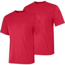 Hanes Men T-Shirt Pack of 2 (3XL) Deep Red