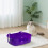 Large Cats Litter Box – Spill-Proof, Fully Open, Sturdy Plastic Tray, Easy Clean, Compatible with All Litter Types 6