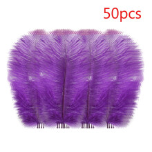 Plumage coloré pour centres de table de mariage, décorations florales et artisanales, loisirs créatifs et décoration de cheveux – 1 pièce,