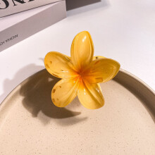Flower Hair Clips Bohemian Beach Style 2024