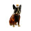 Dog-Shaped Whiskey Decanter Borosilicate Glass 320ml 2