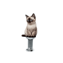 Acrylic Cat Bobblehead Decor for Cat Lovers