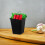 OULII 4Pcs Plastic Storage Baskets Black Hanging Cup Holders for Kitchen Organization 4