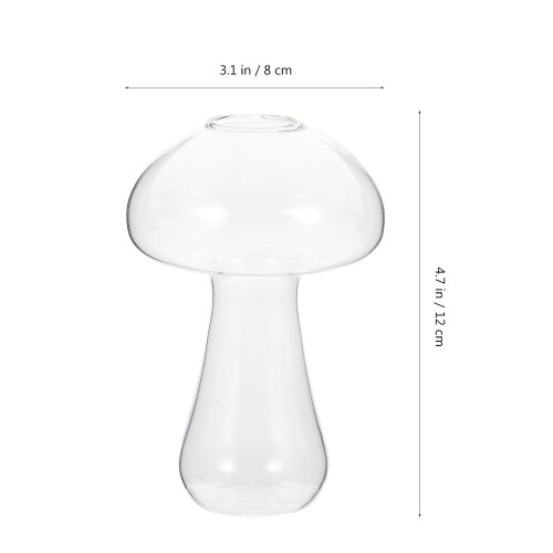 Vază de sticlă hidroponică, terariu pentru ciuperci 1