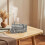 Humidificateur de train à double brume 300 ml Diffuseur de brume fraîche 3