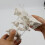 1.5x Magnification Human Cervical Model Occipital Bone Model Teaching Educational Model Teaching Aid 2