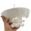 1.5x Magnification Human Cervical Model Occipital Bone Model Teaching Educational Model Teaching Aid 3