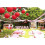 White Paper Lanterns Asian-style Party Decor 10 pcs 5