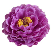 Brosjenål med lilla peonblomst for kvinner 12,5 x 12,5 cm