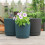 Vaso para plantas de interior/exterior com sistema de drenagem e prato de 25 cm (10 polegadas). 5