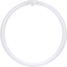 FC16T9/CW16-inch40W T9circline fluorescentielamp4-pins