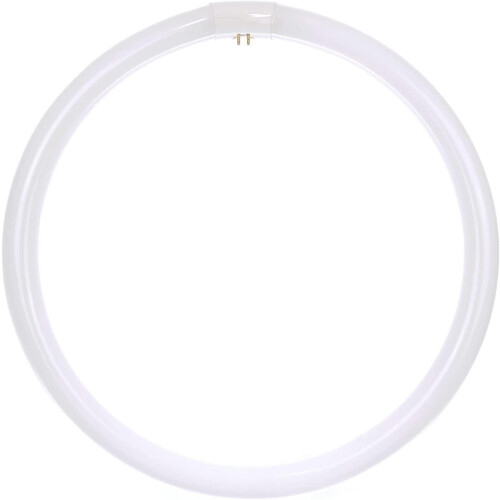 Lâmpada fluorescente circular T9 FC16T9/CW de 16 polegadas e 40 W com 4 pinos.