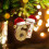 Juego de adornos navideños de acrílico 2D, 67 piezas 3