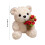 Rose Bear Plush Teddy Doll with Hat Brown White 7.8 Inch 3