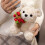 Rose Bear Plush Teddy Doll with Hat Brown White 7.8 Inch 5