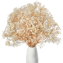 Ivory White Dried Baby's Breath Flowers, 17", 3000 Buds Bulk Gypsophila for Wedding, Party, Wreath, DIY & Home Decor