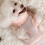 Dog Sweater Pink Santa Design Polyester Winter Coat Small 5
