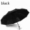 Automatic Folding Vinyl Umbrella10-Rib Windproof 6
