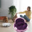 Lit douillet pour chats et petits chiens, design de maison 5
