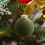 Christmas tree decoration pendant wine red coffee green 4