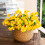 Realistiske kunstige silkeblomster, 7 hoveder 1