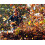 Leaf Blower Air Booster Turbo Attachment1Pack 5