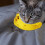 Bananformad tuggleksak för hundar och smådjur 5