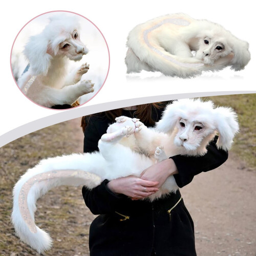 Falkor From The Neverending Story Λούτρινα Παιχνίδια Δώρο για Παιδιά και Ενήλικες 2