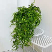 (Persian grass-stripping wall hanging) Waterproof Hanging Ferns for Home Decor