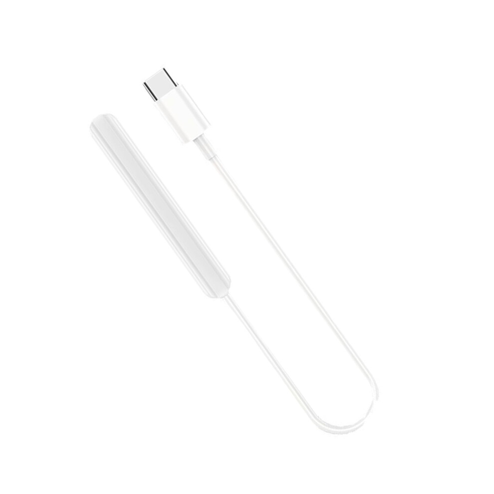 Usb-C Charging Cable For Digital Stylus Pens, 2-Pack 975221108357