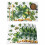 Saint Patrick's Day-placemats akvarell shamrocks 1 st 1
