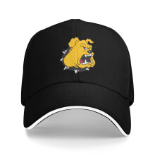 Unisexová baseballová čepice Texas Lutheran University1