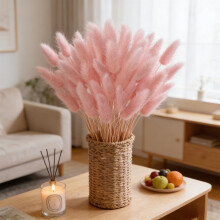 60PCS Dried Bunny Tails Grass s, Natural Boho Floral Branches, Dried Flower Decor for Wedding Home Table Farm Party Spring Arrangement