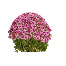Fiori autunnali artificiali resistenti ai raggi UV, 16 mazzi