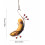 Mangeoire à papillons avec support banane pour usage extérieur 3