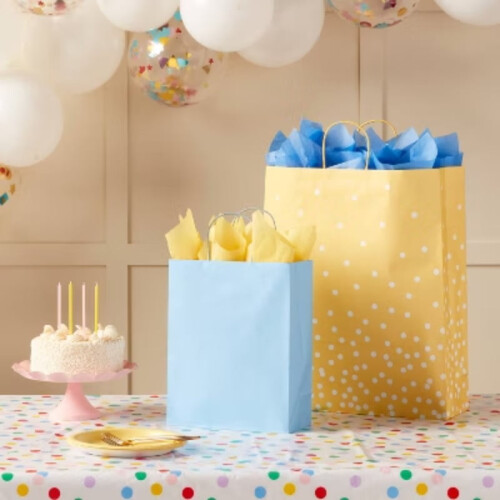Große Geschenktüte Hellblau 1
