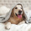 Sheepskin Blanket Double-Layer Thick Flannel Pet Blanket 7