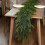 Guirlanda de Videira Verde de 151 cm (59,5 polegadas), Flexível e Decorativa para Ambientes Internos e Externos, Ideal para Festas, Casamentos e 4