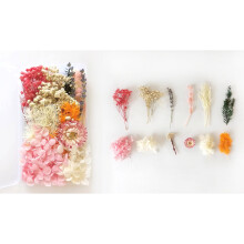 DIY Dried Flowers Kit Natural Real Flower Craft Set for Valentine's Day Gift Making, Home Decor Scrapbooking and Framed Art Projects(F)