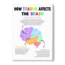 Décoration sur le thème de la santé mentale, Affiche sur toile « Comment les traumatismes affectent le cerveau », Décoration murale en