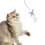 Cat Teaser Wand Refill Kit Butterfly Dragonfly Bee 4 Pcs 5