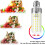 Ampoule E26 type maïs 25 W 6500 K 2500 lm non dimmable, lot de 3 4