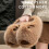 Capybara pluche slippers, warm en antislip voor dames 5