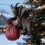 Krampus Ornament Folklore Decor1 sztuka 1